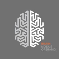 BMO - Brain Modus Operandi logo - Similar company to 2Ps