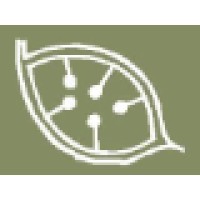 Moran And Partners