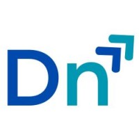 DigiNiche Solutions logo - Similar company to Mysticwork