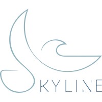 Skyline Studio logo - Similar company to Skyline Studios