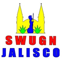 SWUGN JALISCO logo - Similar company to Grupo Insoft