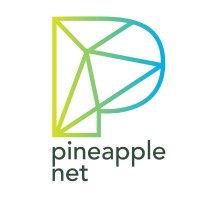 Pineapple Net logo - Similar company to Techsavy Pty Ltd