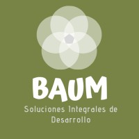 BAUM Soluciones Integrales de Desarrollo logo - Similar company to Inteligentarium