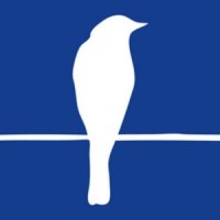 Nine Birds Communications