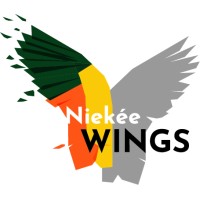 Wings Niekée logo - Similar company to Agora Underground