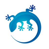 The Web Gecko logo - Similar company to Rackway Holding