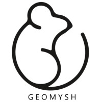 GeoMysh logo - Similar company to P.S.D.