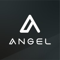 Angel Holding logo - Similar company to Mermec