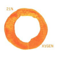 Studio Eva van der Zand logo - Similar company to The Moraine