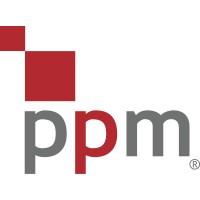 Project Portfolio Management (PPM) logo - Similar company to Dc Nrg