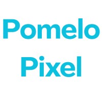 Pomelo Pixel logo - Similar company to Tettares Software Solutions Private Limited