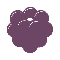 RAWBerry Media logo - Similar company to Creakom