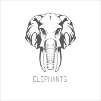 Elephants Group