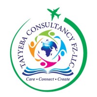 Tayyeba Consultant FZ-LLC logo - Similar company to Technisaur