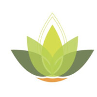 Online Mental Health