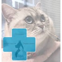 Clinique vétérinaire Championnet logo - Similar company to Itivet Paris