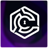 Tabnet Security logo - Similar company to Rapiderp