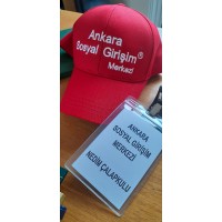 Ankara Sosyal Girişim® logo - Similar company to Bilgi Kurdu - E-Learning & Corporate Software Solutions