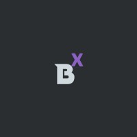 BrightiX logo - Similar company to Internsity