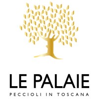 Le Palaie s.r.l logo - Similar company to Immemora