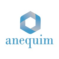 Anequim México / Empleos Remotos logo - Similar company to Cápita Works - Bilingual Virtual Assistants In Mexico