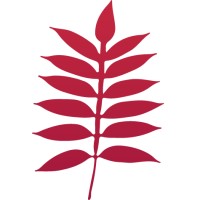 Sumac Mentoring Limited