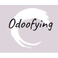 Odoofying logo - Similar company to Top Seven