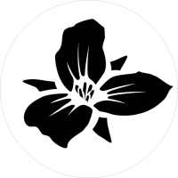 Trillium Brewing Company logo - Similar company to Tree House Brewing Company