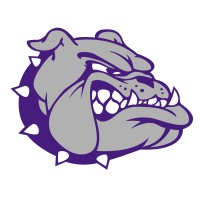 ANTON ISD logo - Similar company to Mandry Technology