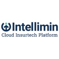 Intellimin Limited logo - Similar company to Cyberdot Inc.