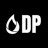 Digital Prospector logo - Similar company to Digital China