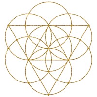 The Academy For Soul-Based Coaching