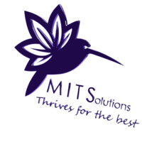 MiTech Solutions logo - Similar company to Parsll