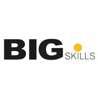 Bigskills logo - Similar company to Bigskillup India
