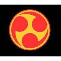 Isshinryu Karate and Kobudo Association Of India [IKKAI] logo - Similar company to The Alpha Theory