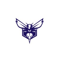 Charlotte Hornets logo - Similar company to Orlando Magic