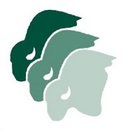 Western Risk Insurance