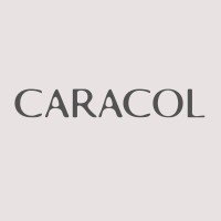 Caracol logo - Similar company to Webora