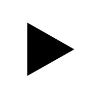 True Games Syndicate logo - Similar company to Microraptor Games