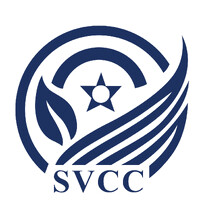 Shanghai Vista Consulting Corporation logo - Similar company to Ispidermedia 蜘蛛传媒