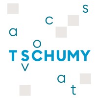 Tschumy Avocats logo - Similar company to Nessuno Di Marco Ciccolella