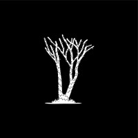 Treelight Productions logo - Similar company to 5Towns