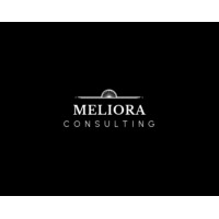 Meliora Consulting logo - Similar company to Bee Car Care