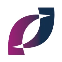 Platinum Resourcing logo - Similar company to Trinity Resource Solutions