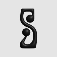 FLUIDOSTUDIO logo - Similar company to Scialla Studio