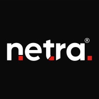 Netra Technosys® logo - Similar company to Technozer Solution