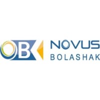 Novus Bolashak logo - Similar company to Petrocouncil.Kz