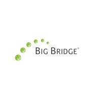 Big Bridge logo - Similar company to Big Bridge Holdings, Inc.