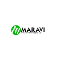 MARAVI COMMODITY TRADERS LIMITED logo - Similar company to Iccm - International Conservation And Clean-Up Management Malawi