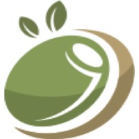Olive First Management Consulting logo - Similar company to Omega Mepis Llc